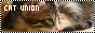 猫同盟